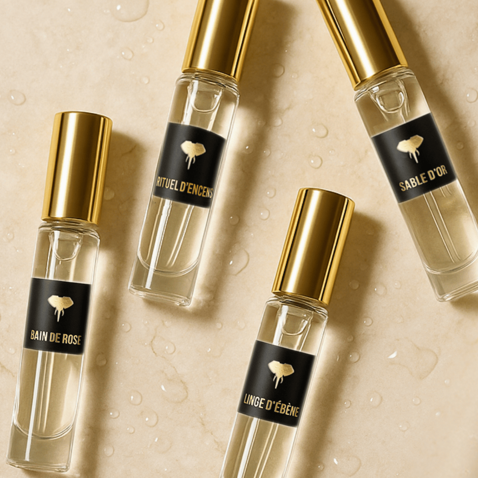 ECHANTILLONS – Image 2